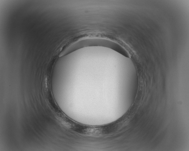 X0000082150117200702162219