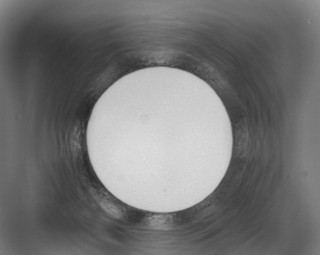 X0000082150126200702162218