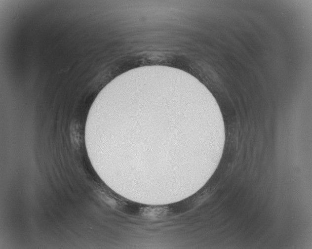 X0000082150135200702162218