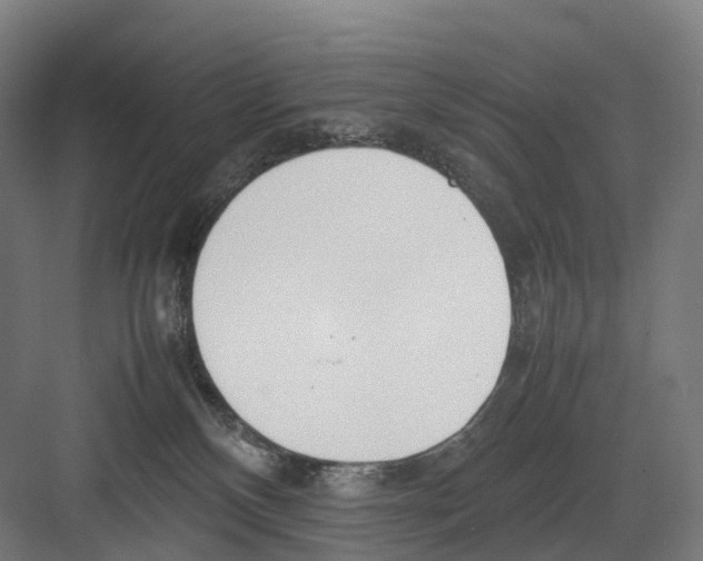 X0000082150136200702162218