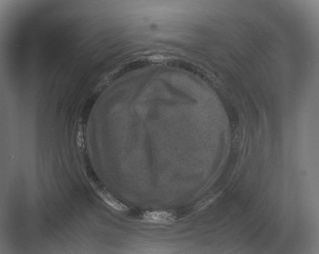 X0000082150137200702162218