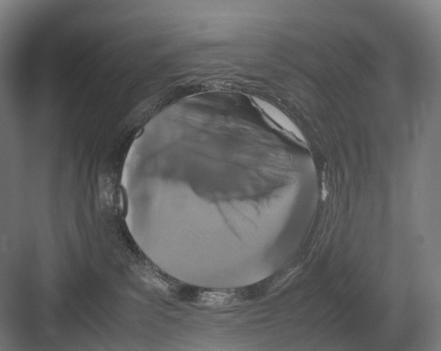 X0000082150139200702162218