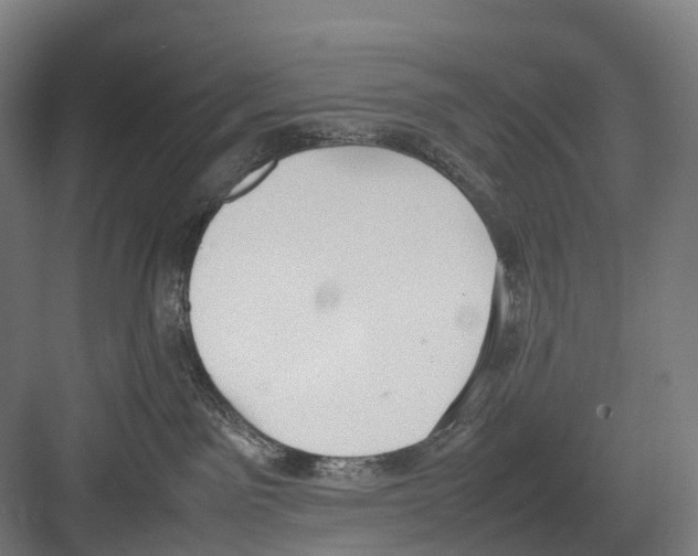 X0000082150141200702162218