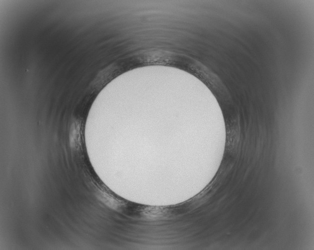 X0000082150142200702162218