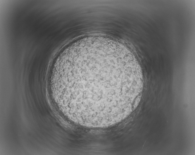 X0000082150145200702162217