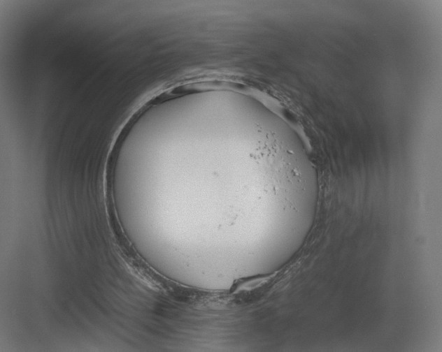 X0000082150148200702162217