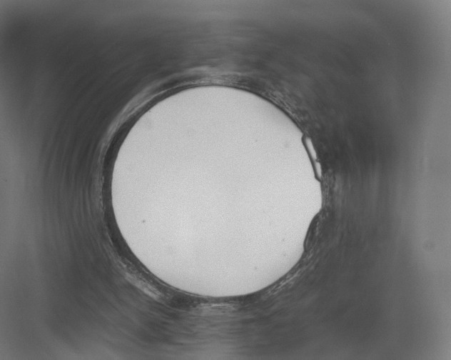 X0000082150150200702162217