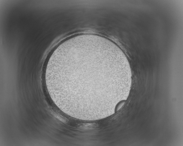 X0000082150151200702162217