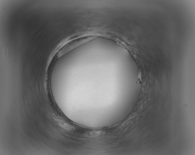 X0000082150152200702162217