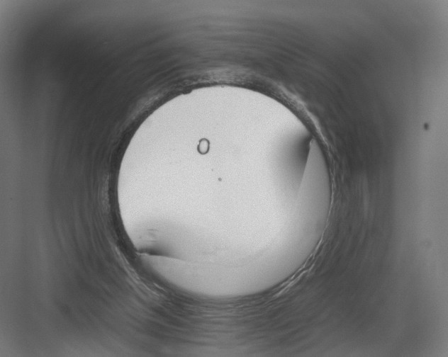 X0000082150154200702162217