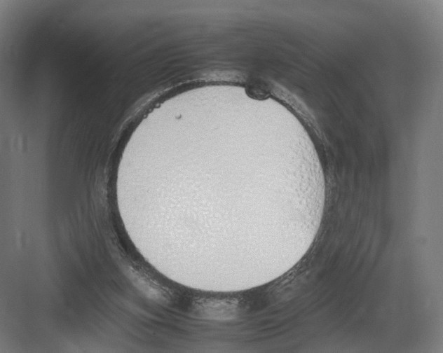 X0000082150155200702162217