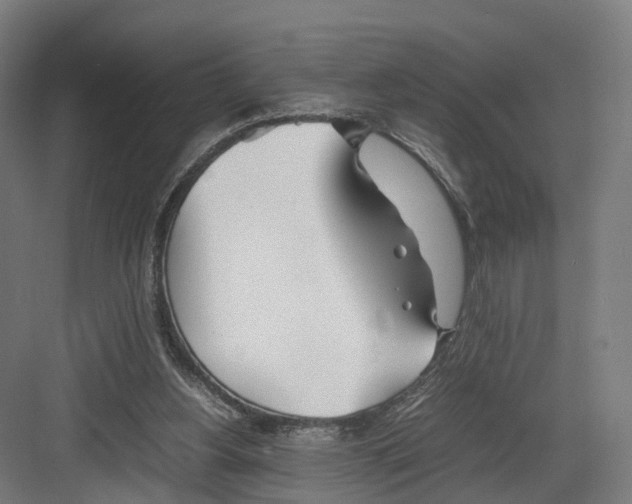 X0000082150156200702162217