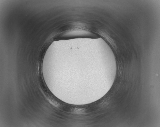 X0000082150157200702162217