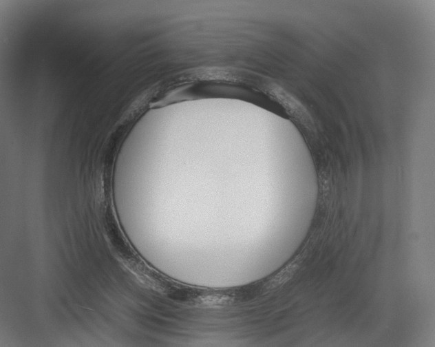 X0000082150158200702162217