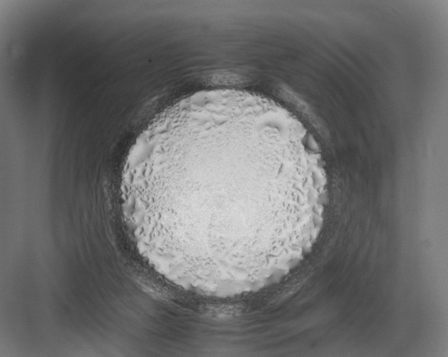 X0000082150161200702162218