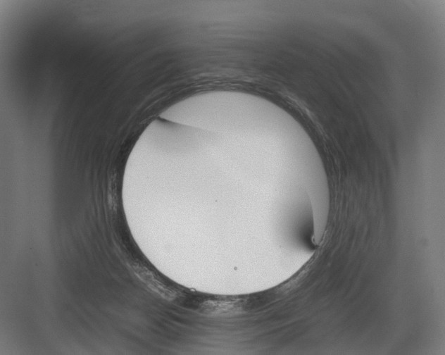 X0000082150170200702162218