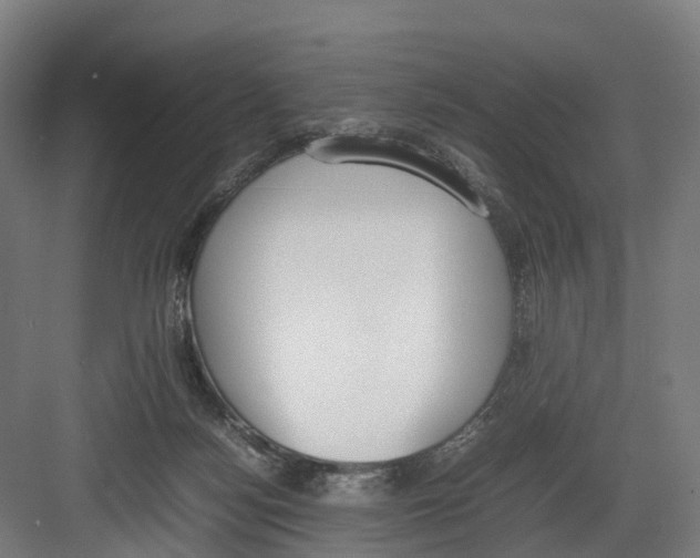 X0000082150172200702162218