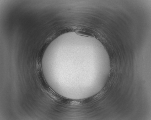 X0000082150176200702162218