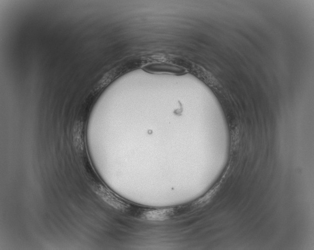 X0000082150178200702162218