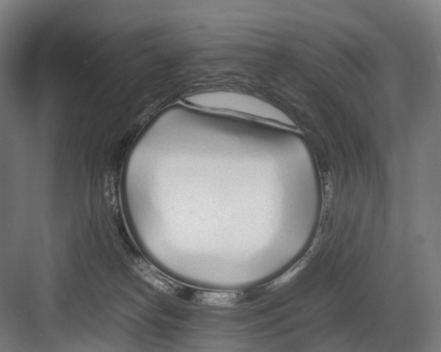 X0000082150182200702162218