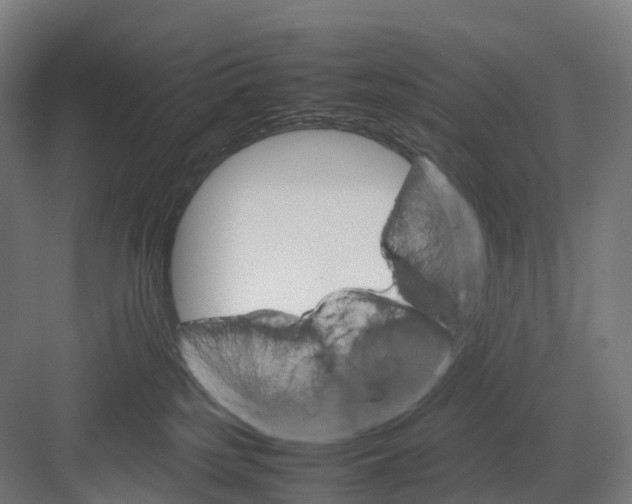 X0000082150185200702162218