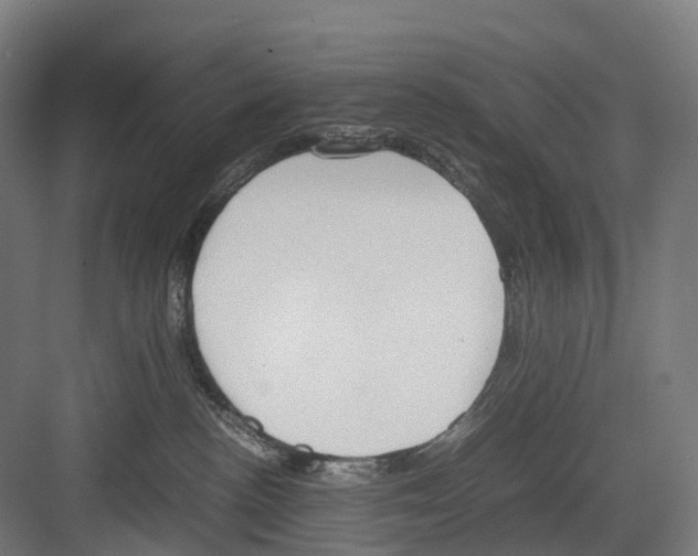 X0000082150188200702162218