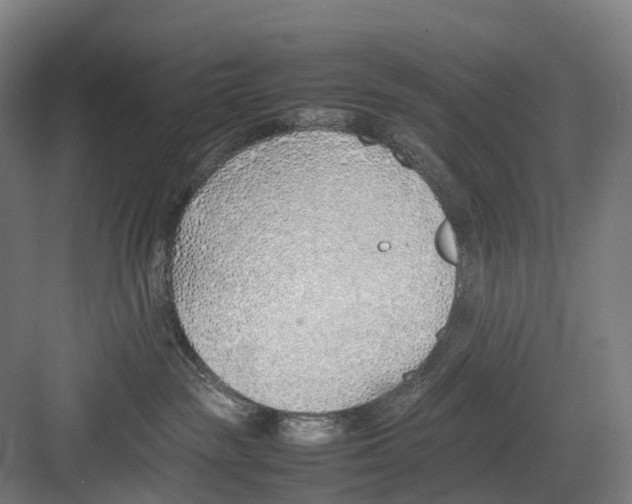 X0000082150189200702162218