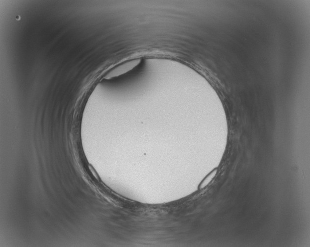 X0000082150193200702162217