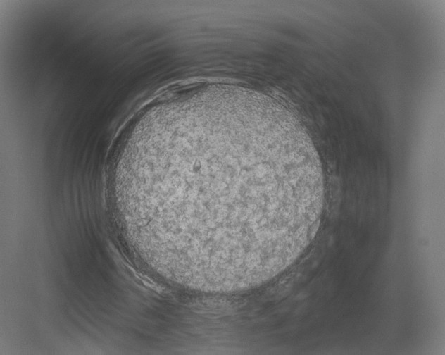 X0000082150194200702162217