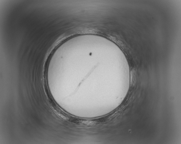 X0000082150195200702162217