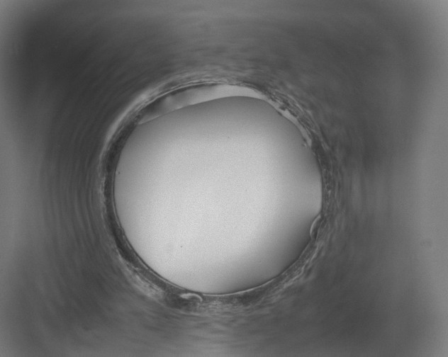 X0000082150197200702162217