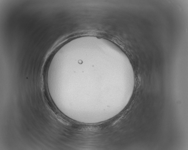 X0000082150198200702162217