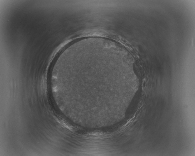 X0000082150200200702162217