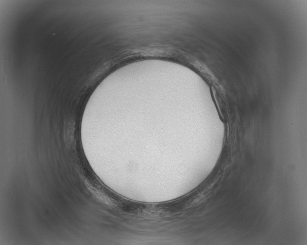 X0000082150201200702162217