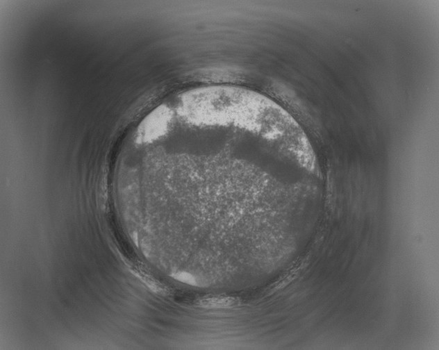 X0000082150202200702162217