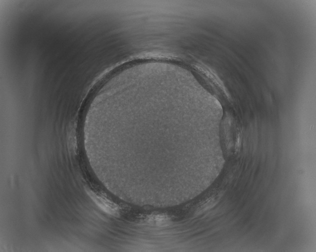 X0000082150204200702162217