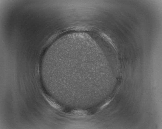 X0000082150205200702162217