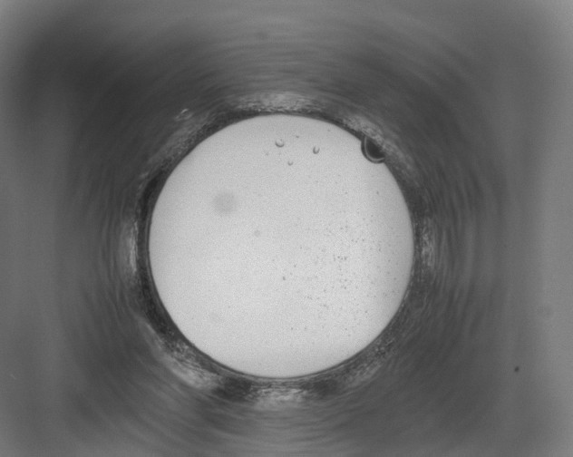 X0000082150206200702162217