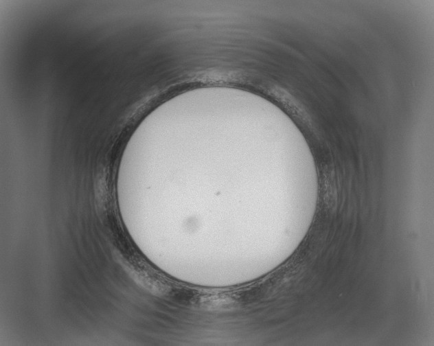 X0000082150208200702162217