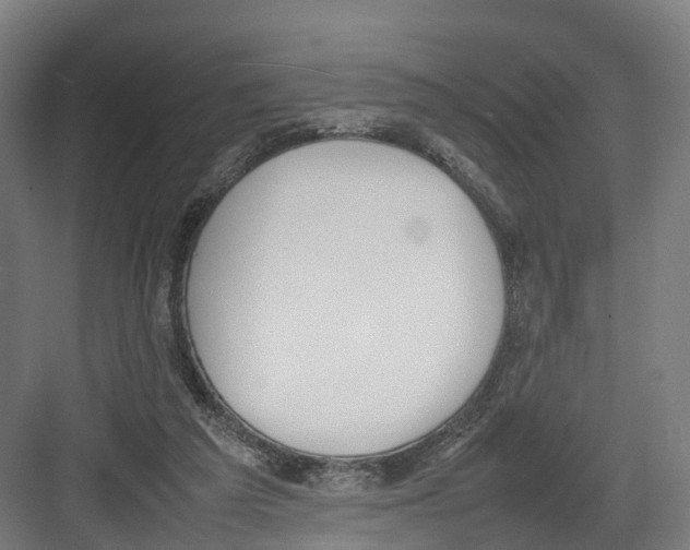 X0000082150209200702162217