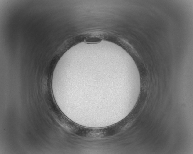 X0000082150213200702162217