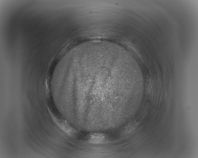 X0000082150214200702162217