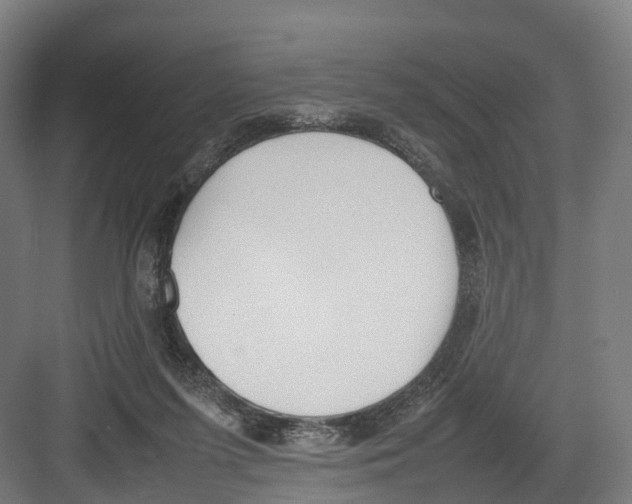 X0000082150215200702162217