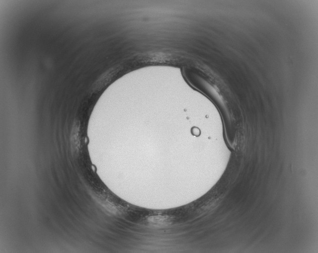 X0000082150216200702162217