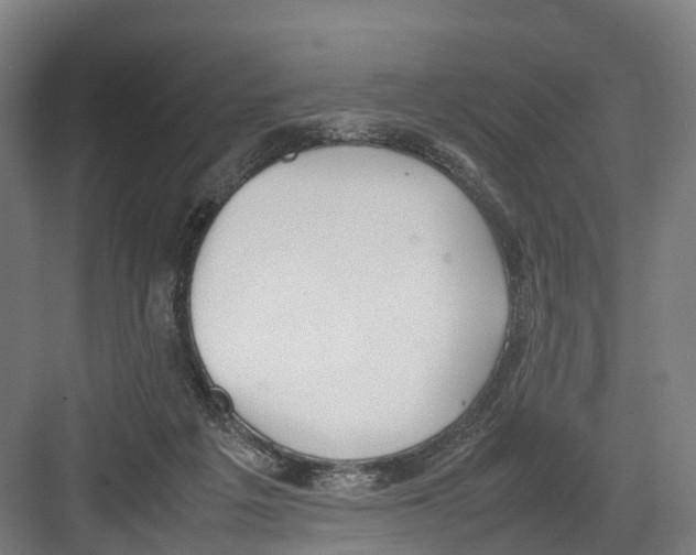 X0000082150217200702162217