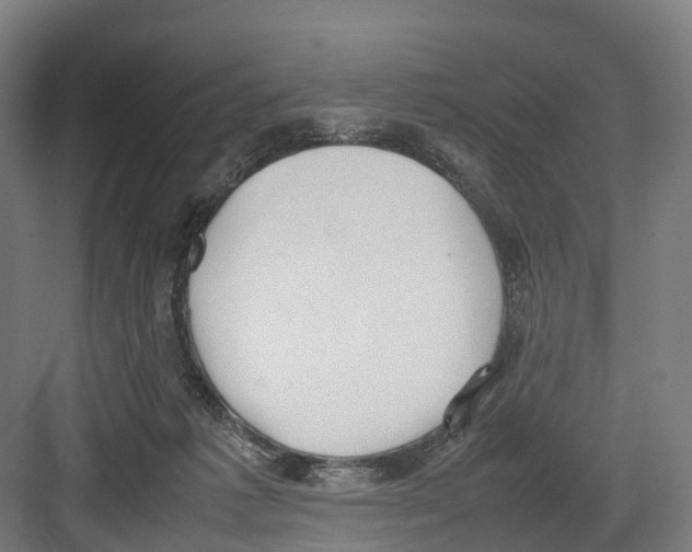 X0000082150221200702162217