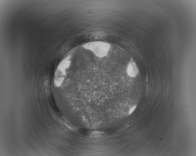 X0000082150222200702162217