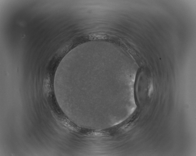 X0000082150224200702162217