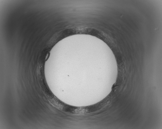 X0000082150225200702162217