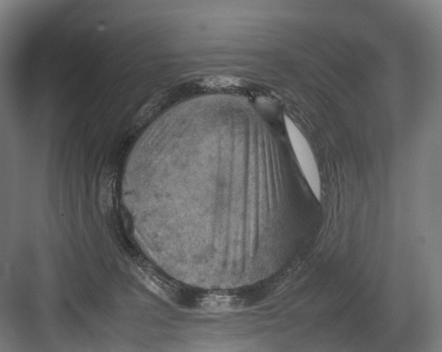 X0000082150227200702162217